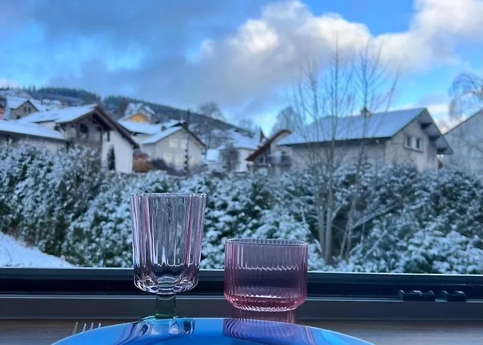 Les Couleurs Du Apartman Gérardmer